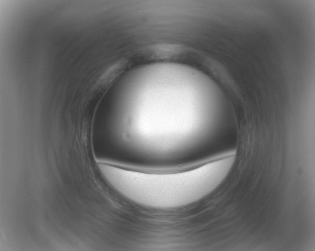 X0000082730505200701261059