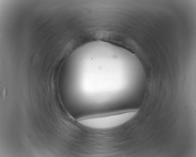 X0000082730516200701261059