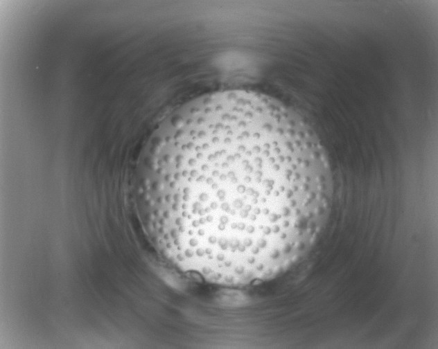X0000082730519200701261059