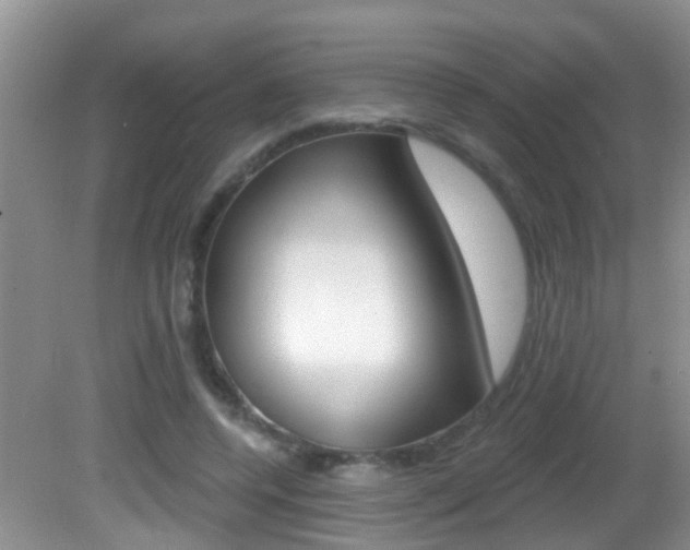 X0000082730544200701261058