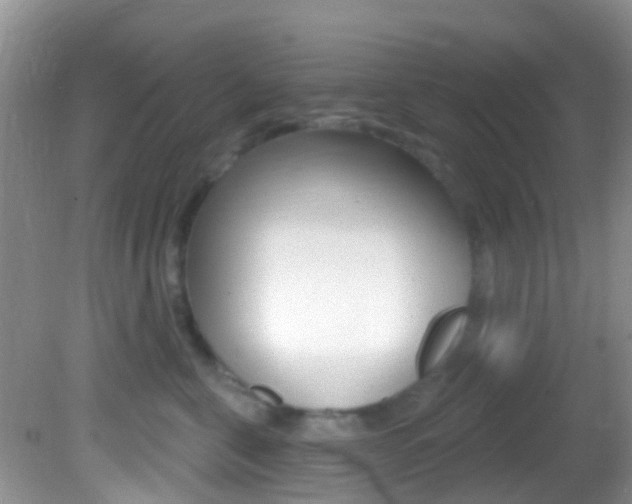 X0000082730571200701261059