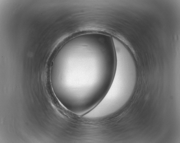 X0000082730580200701261058