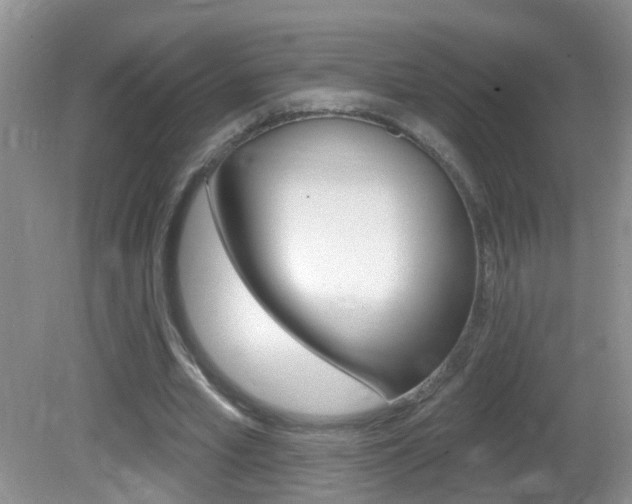 X0000082730581200701261058