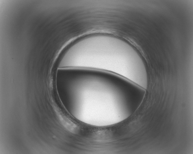 X0000082730584200701261058
