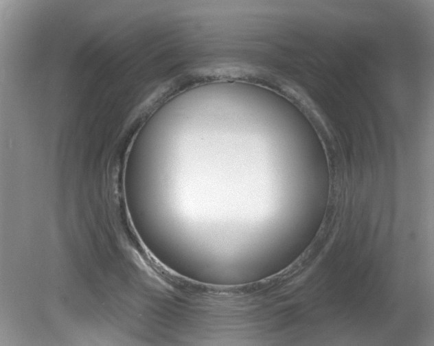 X0000082730585200701261058