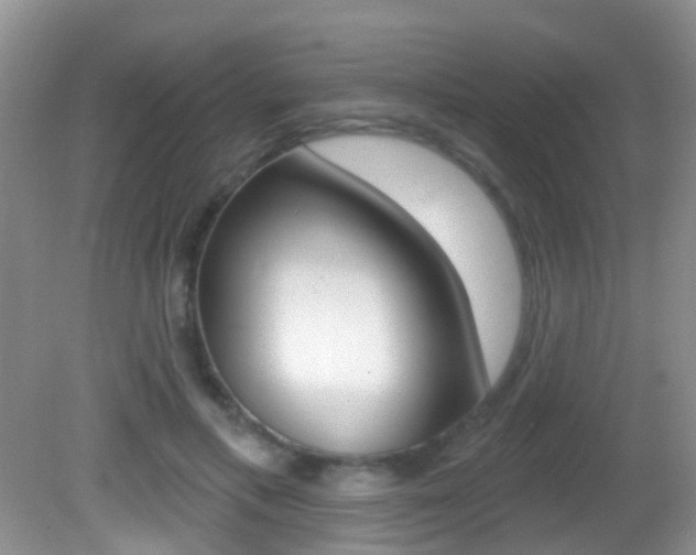 X0000082730597200701261058