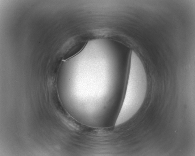 X0000082730601200701261057