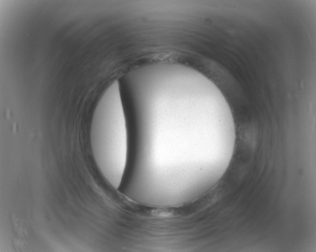 X0000082730602200701261057