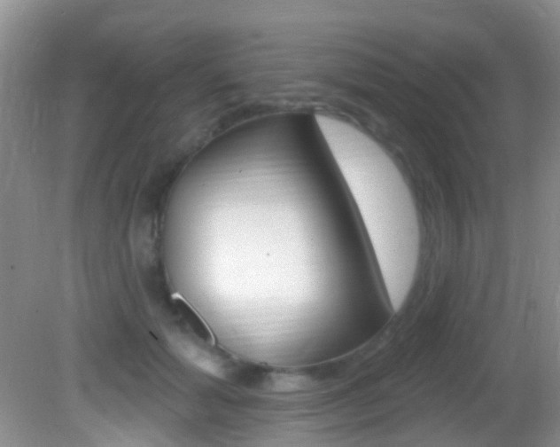 X0000082730605200701261057