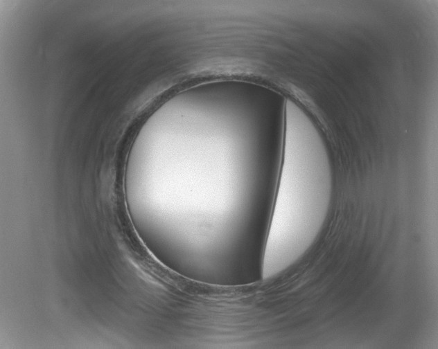 X0000082730627200701261056