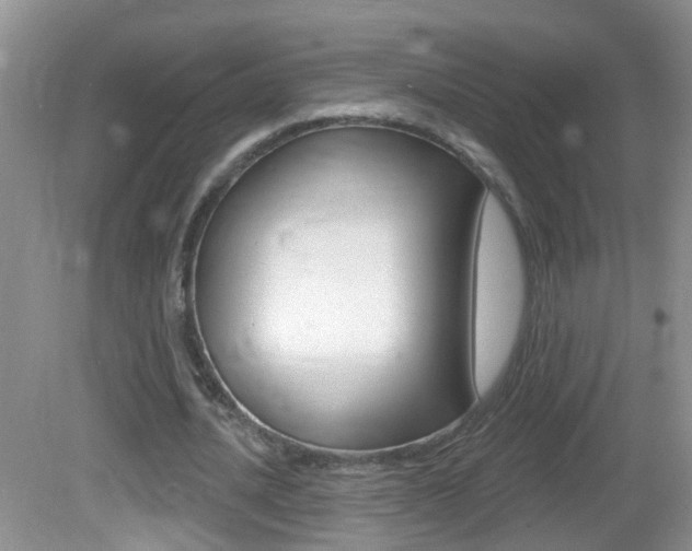 X0000082730628200701261056