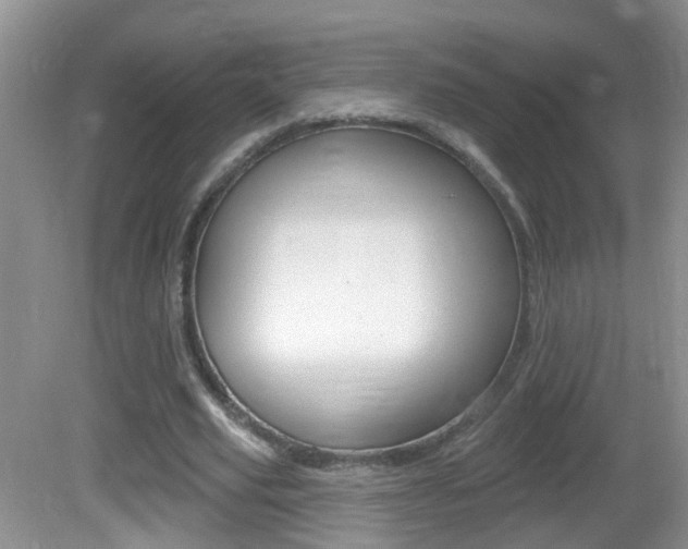 X0000082730629200701261056