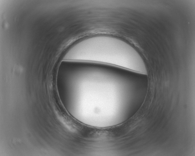 X0000082730631200701261056