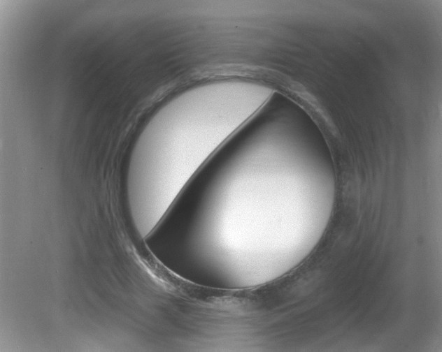 X0000082730633200701261056