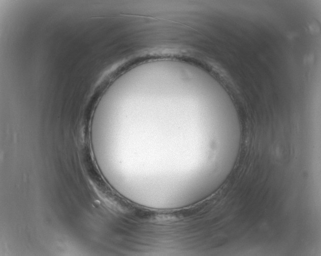 X0000082730636200701261056