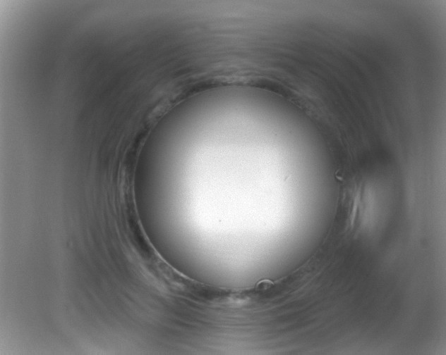 X0000082730647200701261057
