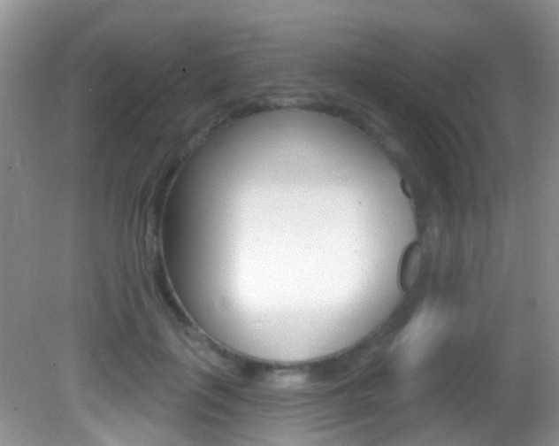 X0000082730651200701261057