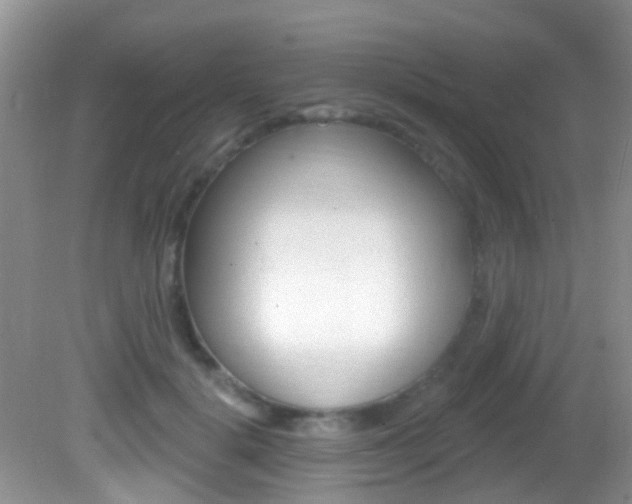 X0000082730652200701261057