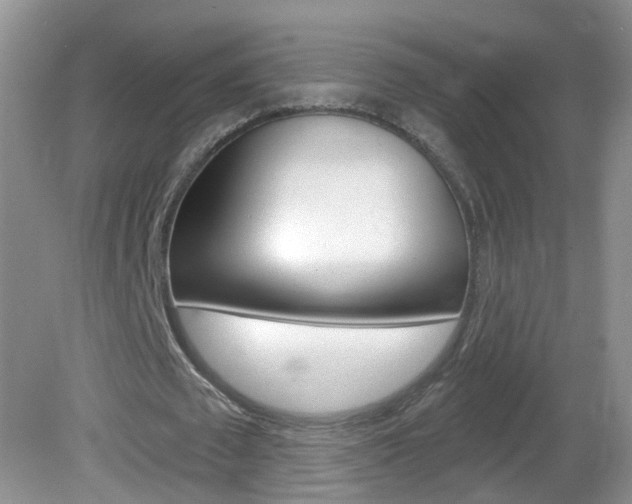 X0000082730673200701261056