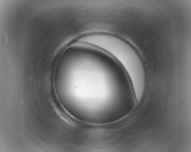 X0000082730677200701261056