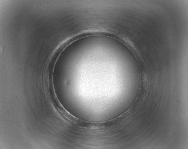 X0000082730684200701261056