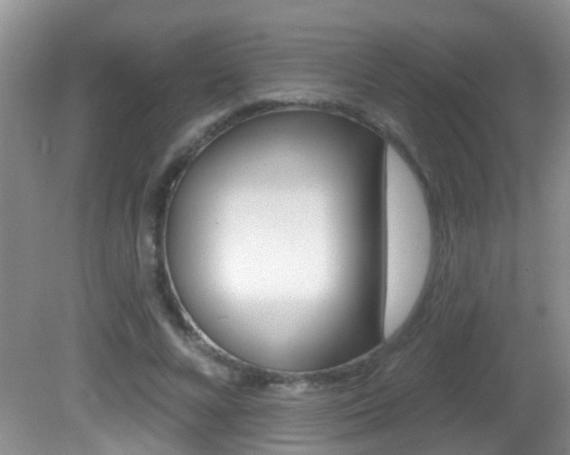 X0000082730688200701261056