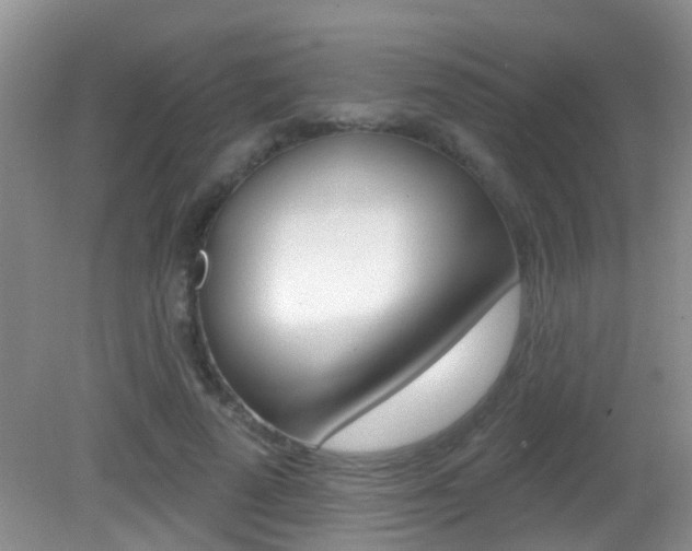 X0000082730689200701261056