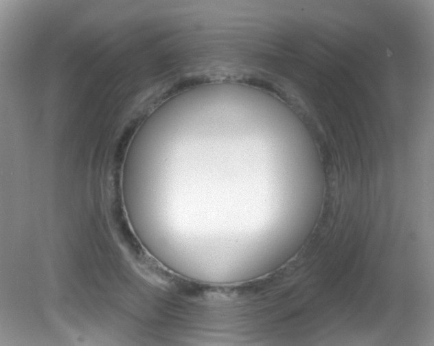 X0000082730690200701261056