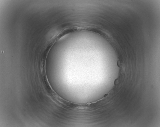 X0000082730691200701261056