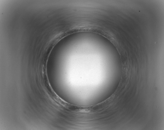 X0000082730692200701261056