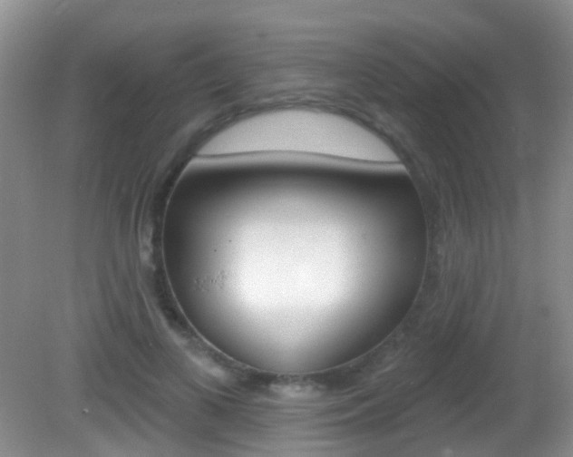 X0000082730693200701261056