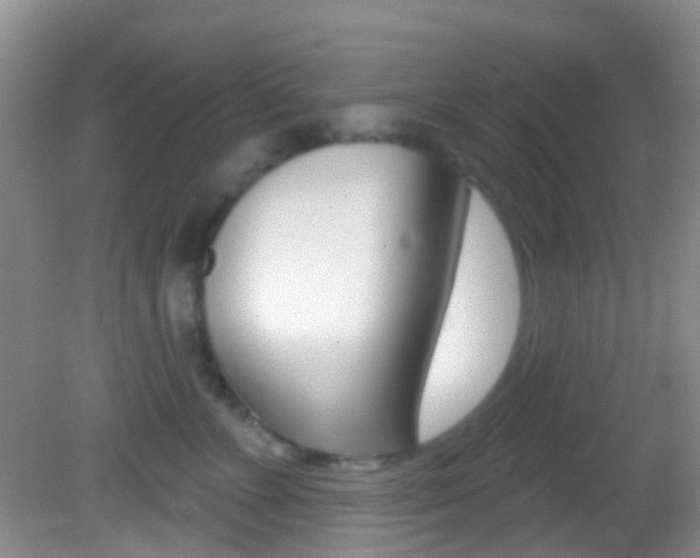 X0000082730715200701261056