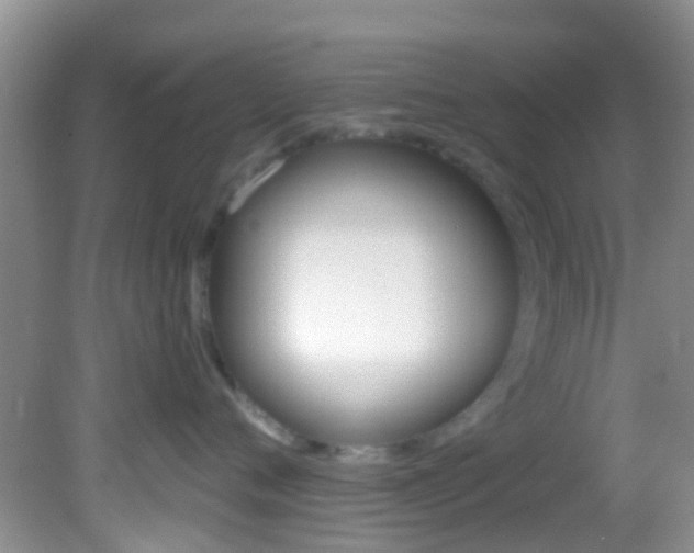 X0000082730720200701261055