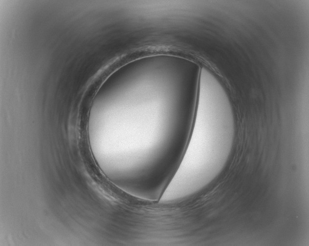 X0000082730722200701261055