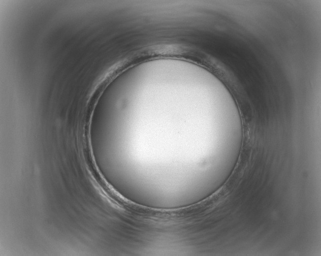 X0000082730725200701261055