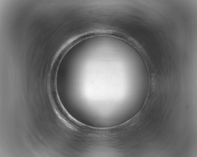 X0000082730726200701261055