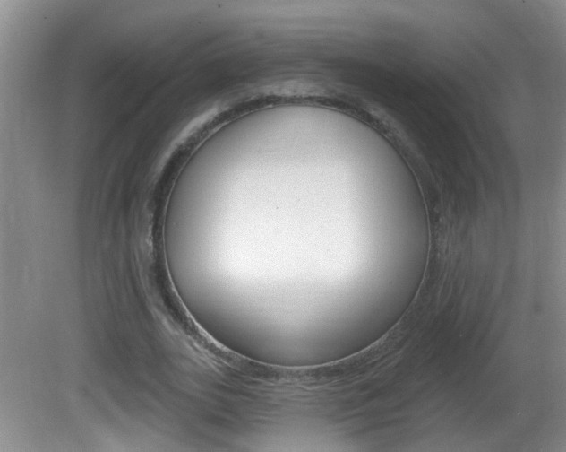 X0000082730727200701261055
