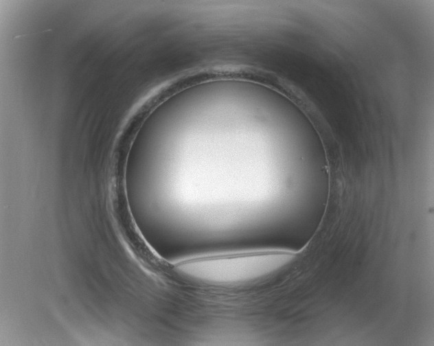 X0000082730728200701261055