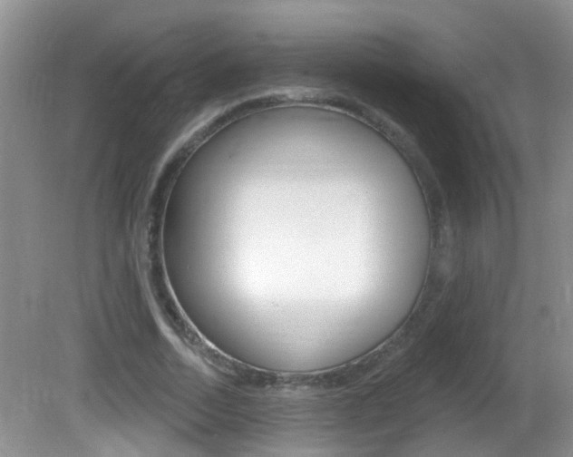 X0000082730730200701261055