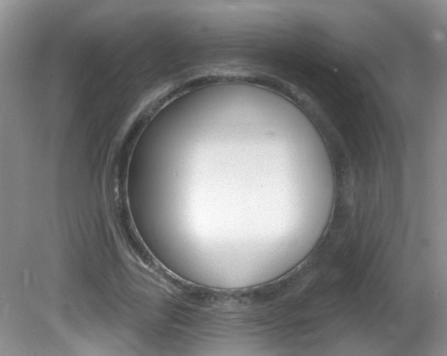 X0000082730731200701261055