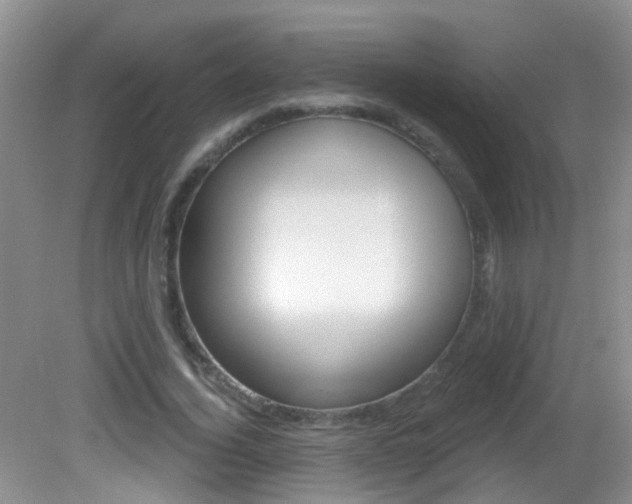 X0000082730732200701261055