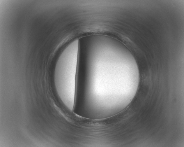 X0000082730735200701261055