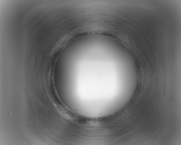 X0000082730742200701261055