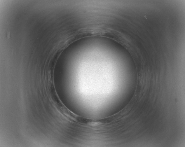 X0000082730748200701261055