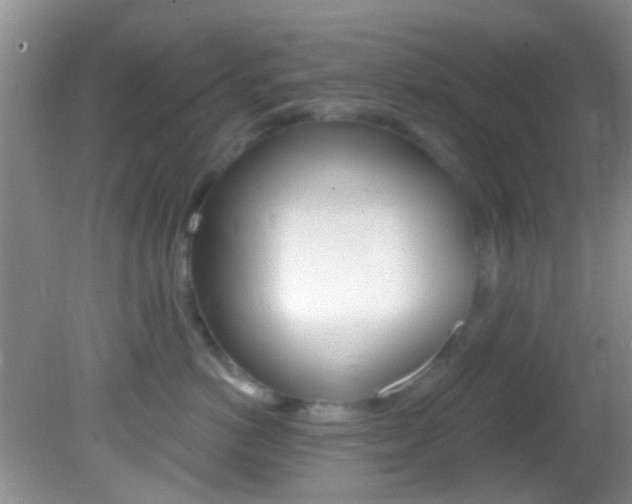 X0000082730766200701261055