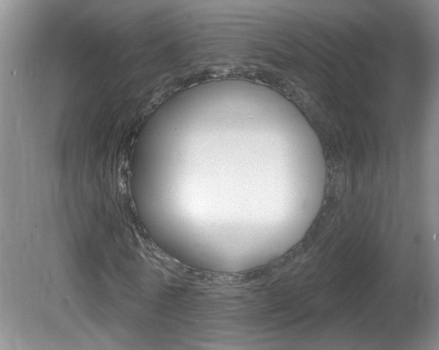 X0000082730770200701261055