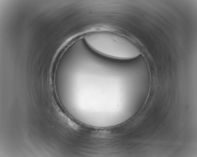 X0000082730784200701261054