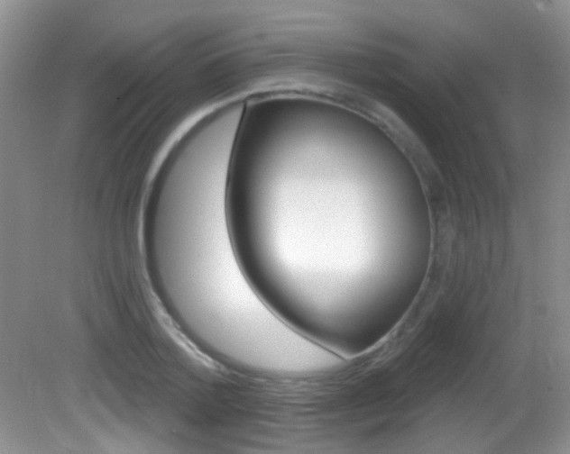 X0000082730788200701261054