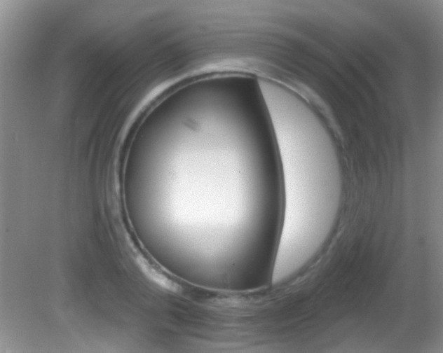 X0000082730792200701261054