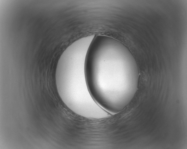 X0000082730818200701261053